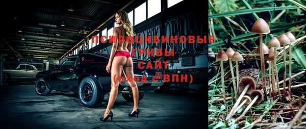 гидропоника Арсеньев