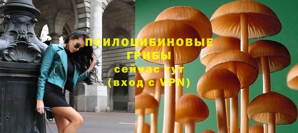 гидропоника Арсеньев