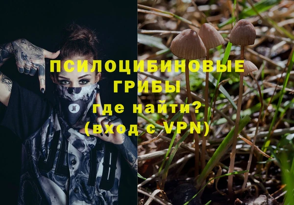 гидропоника Арсеньев