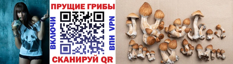 купить закладку  Киров  Псилоцибиновые грибы мухоморы 